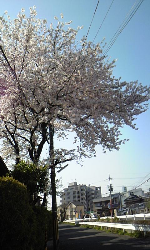 f0222722_10181278.jpg