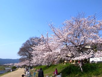 f0149731_041980.jpg