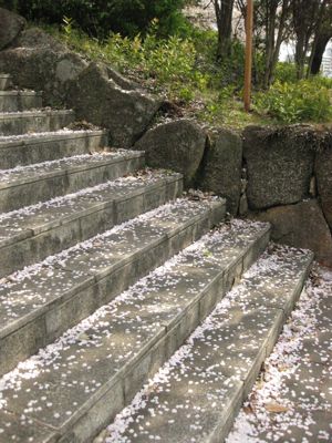 c0177332_2249971.jpg