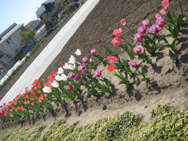 e0166032_1844692.jpg