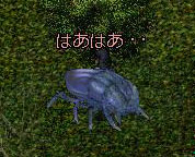 c0184233_1632758.jpg