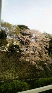 e0025433_16314974.jpg