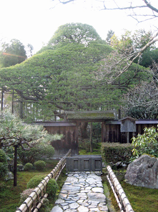 f0234936_641770.jpg
