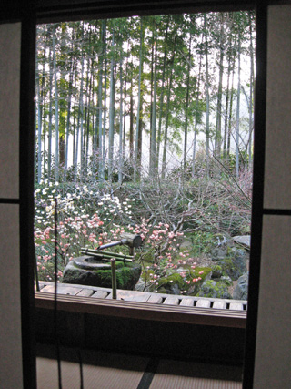 f0234936_684869.jpg