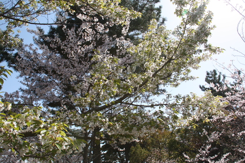 c0153740_734934.jpg