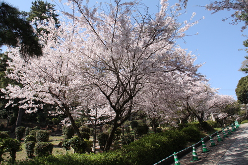 c0153740_745237.jpg