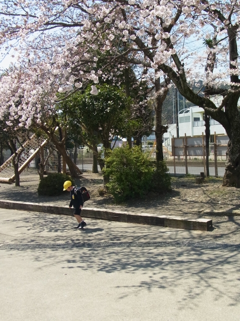 c0202541_756214.jpg