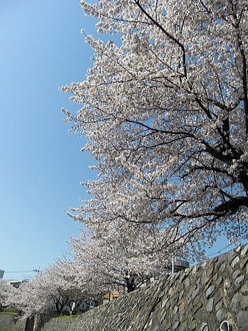 f0094843_11502476.jpg