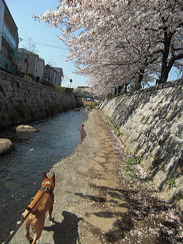 f0094843_11561080.jpg