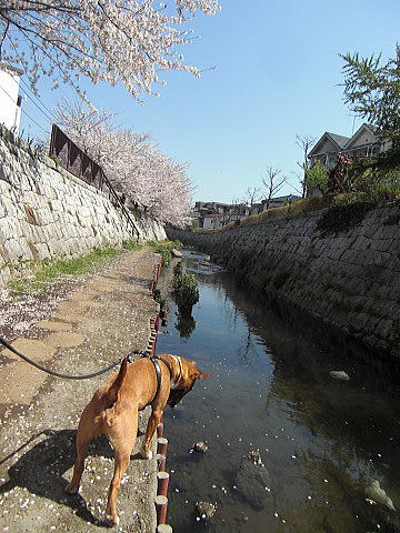f0094843_11583289.jpg