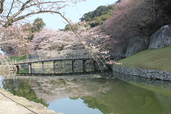 b0200747_2043780.jpg