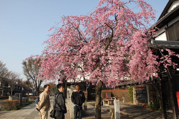 b0200747_209421.jpg
