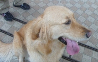 e0121548_21455612.jpg