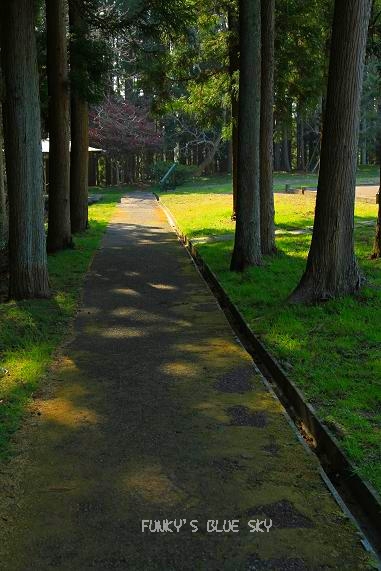 c0145250_21395410.jpg