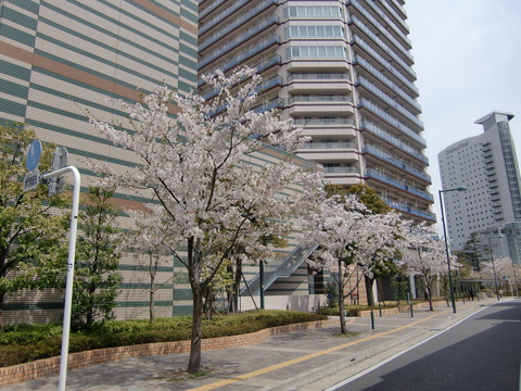 c0206352_22395175.jpg