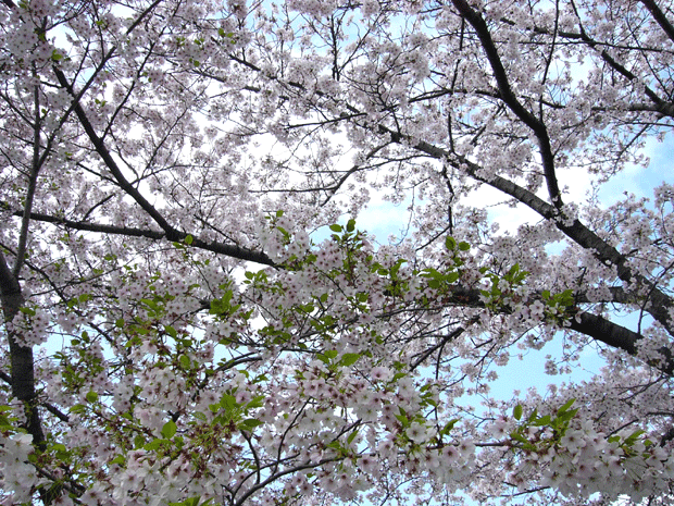 c0225153_23511961.gif