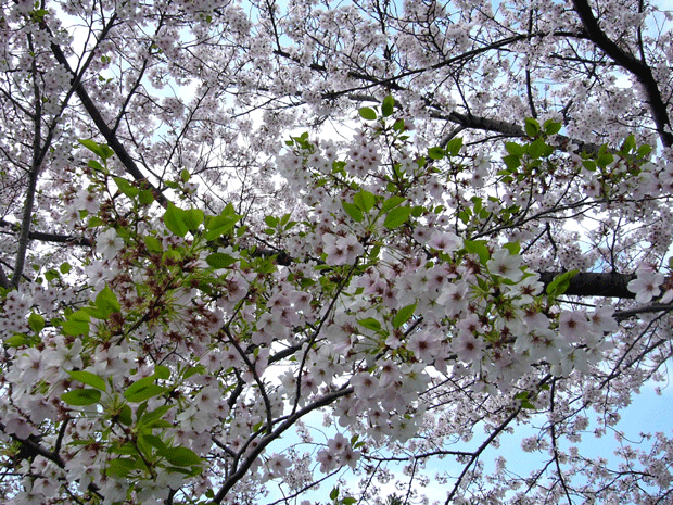c0225153_23521958.gif