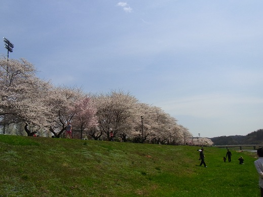 a0149356_935037.jpg