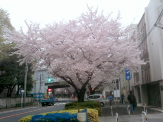 e0098256_1522979.jpg