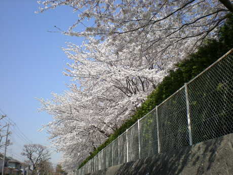 a0118461_15175648.jpg