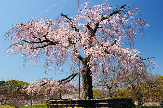 f0222161_915375.jpg