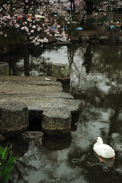 f0222161_92835.jpg