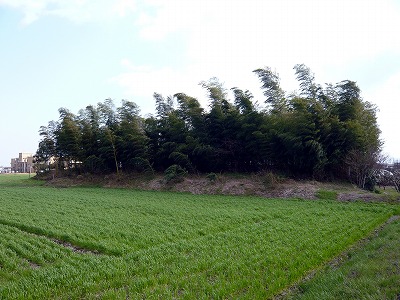 f0106664_7154055.jpg