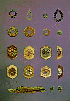 f0215268_0501394.gif