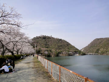 d0164070_15375.jpg