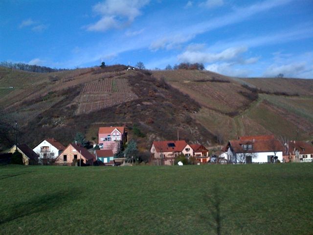 c0110871_2092486.jpg