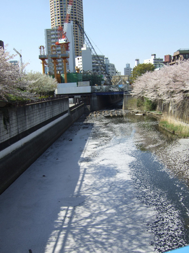 a0194873_12222590.jpg