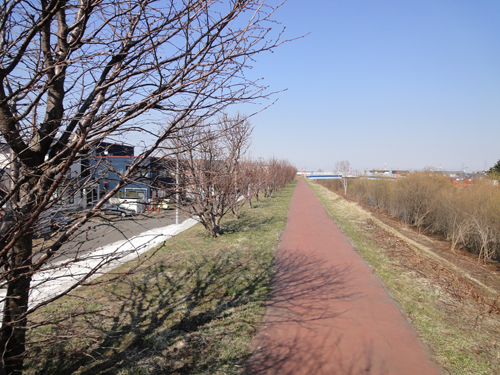 b0204977_15373144.jpg