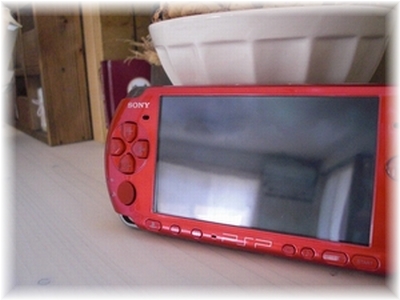 c0198485_1633028.jpg
