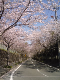 c0035386_0521538.jpg