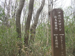 b0050787_10375816.jpg