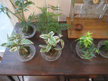 c0146487_16161250.jpg