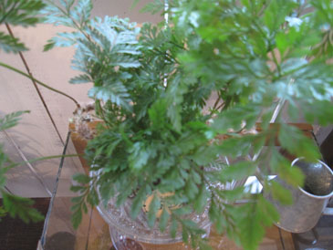 c0146487_16162426.jpg