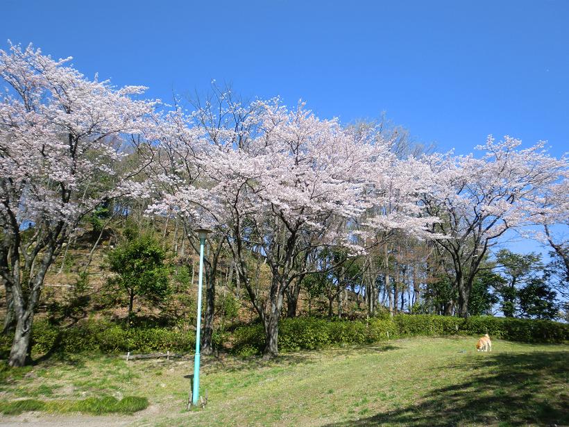 e0023790_2253673.jpg