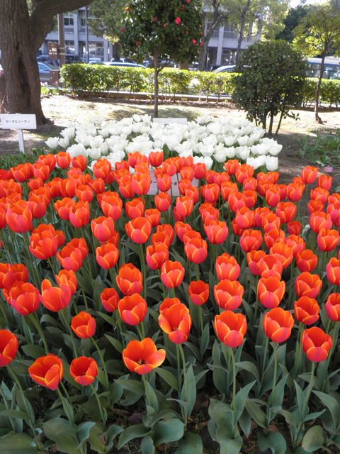 f0130894_2041913.jpg