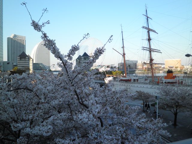 f0130894_2050688.jpg