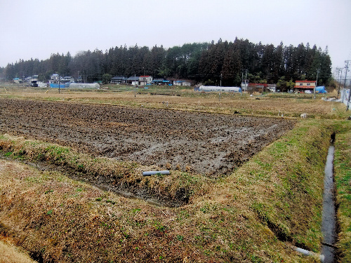 f0181394_15115470.jpg