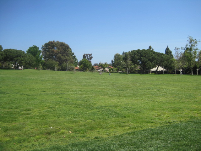 f0209395_15424598.jpg
