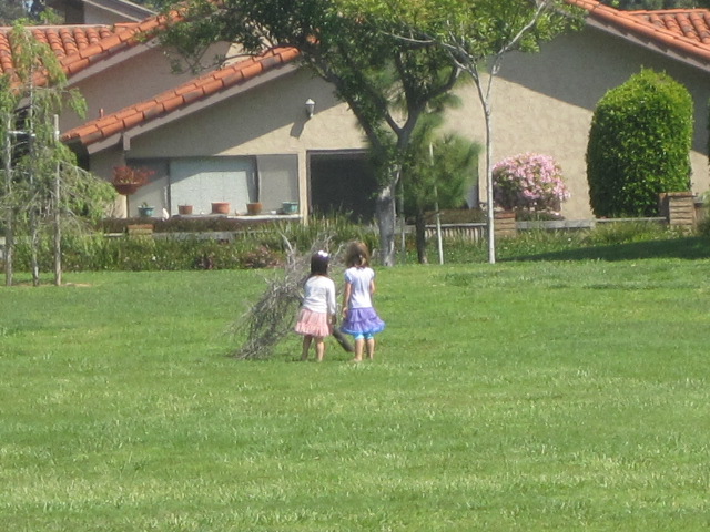 f0209395_1542563.jpg