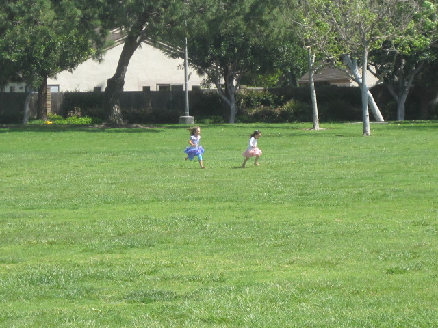 f0209395_1543885.jpg