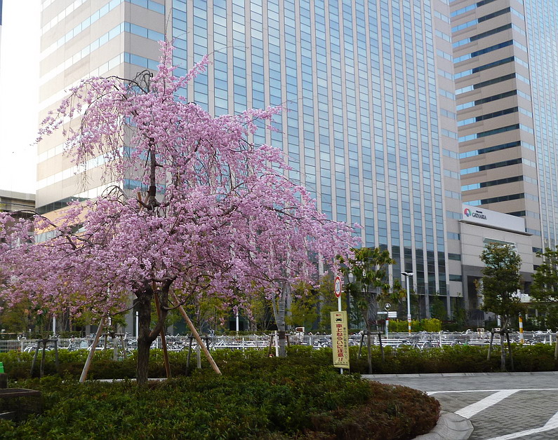 c0138198_10265474.jpg