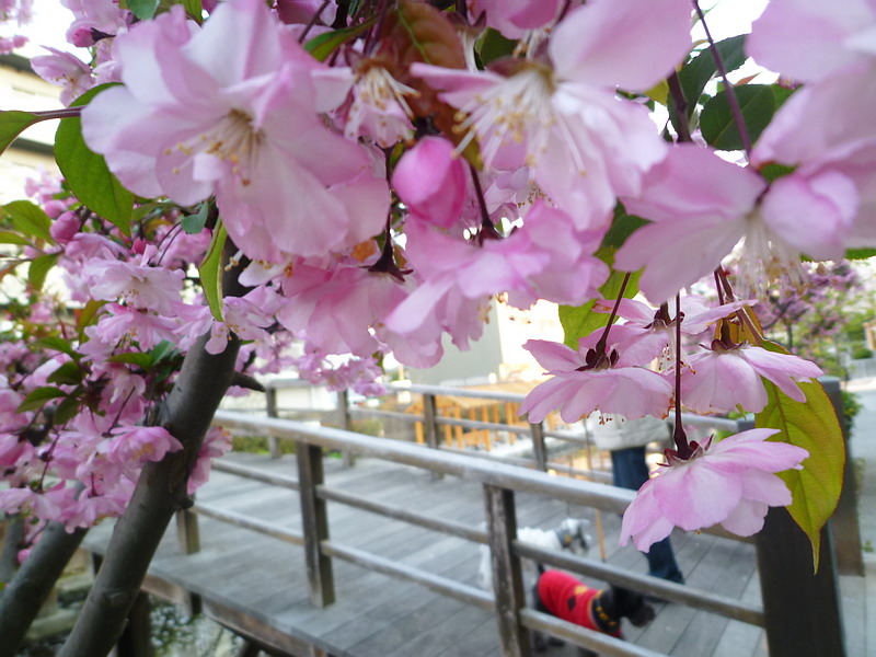 c0138198_10291525.jpg