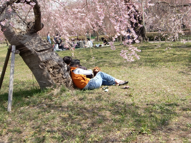 c0199401_1413442.jpg
