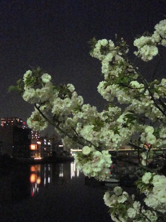 a0167803_8565550.jpg