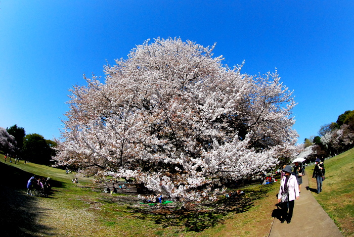 a0157704_1651867.jpg