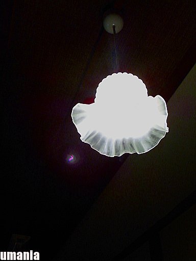 b0061004_0555096.jpg